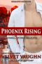 [COBRA Securities 28] • Phoenix Rising